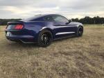 Ford Mustang GT on HRE Wheels (FF04) 2018 года